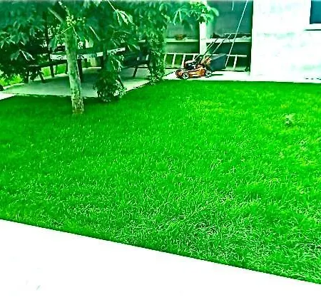 Endi,a Gem Near Sibenik Unesic